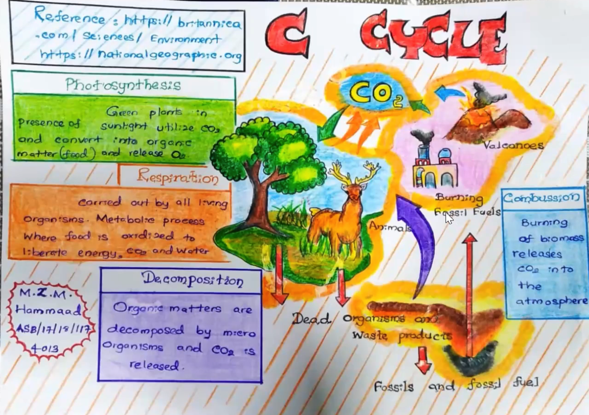 Concept application slides students attached to their CN posts